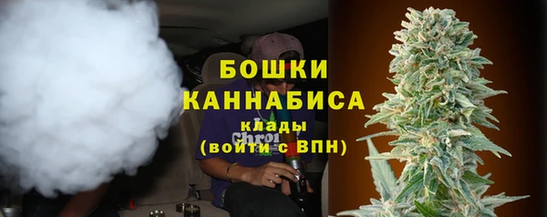 прущие грибы Балабаново