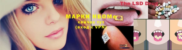 гашиш Богданович
