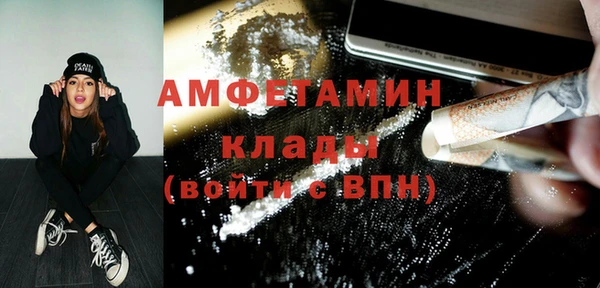 гашиш Богданович