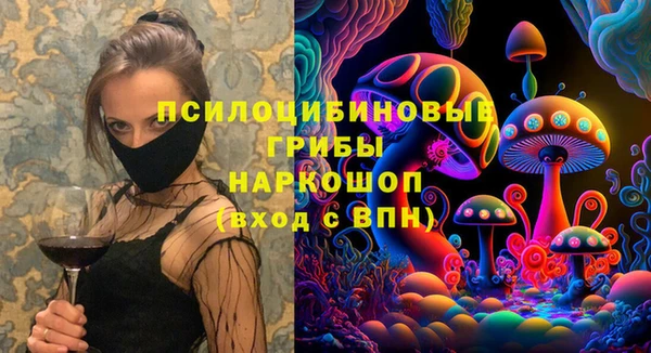 ПСИЛОЦИБИНОВЫЕ ГРИБЫ Белоозёрский