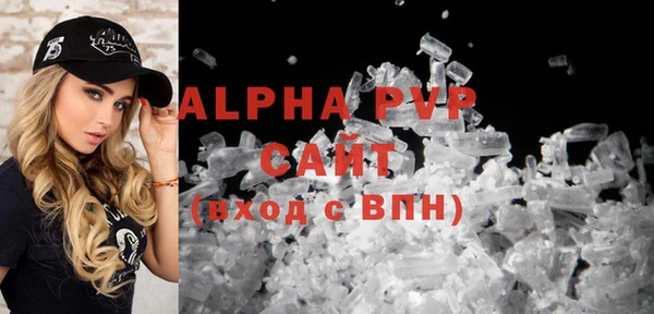 гашиш Богданович