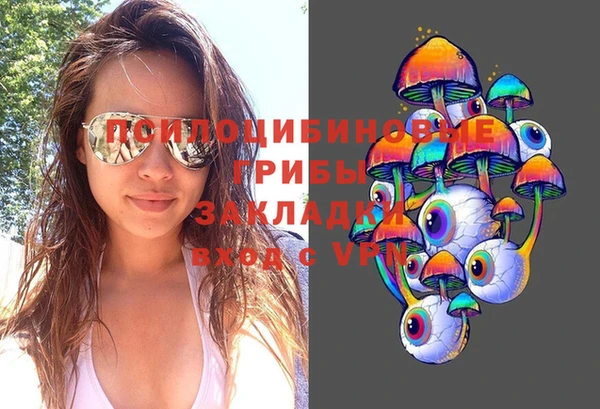 синтетический гашиш Богородск