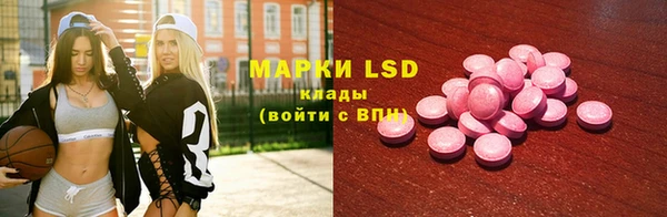 гашиш Богданович