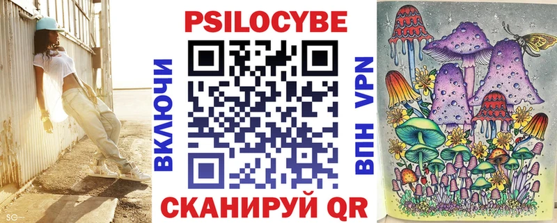 Галлюциногенные грибы Psilocybine cubensis  Кимовск 
